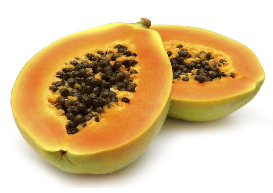 Foliar y Fertirrigación Papaya Nuves