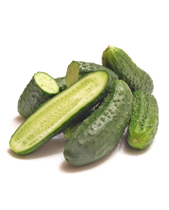 pepino